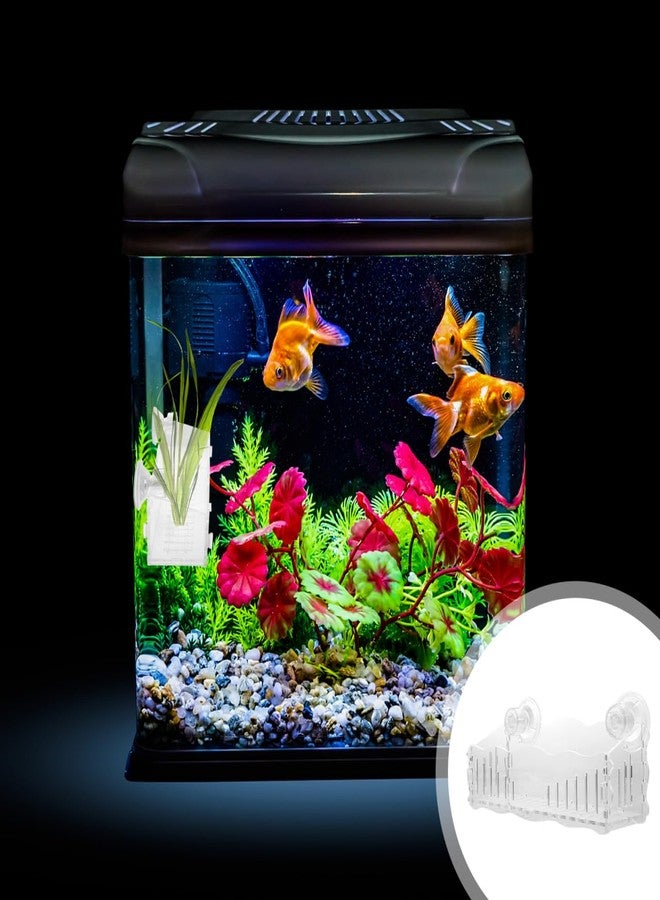 POPETPOP Acrylic Aquarium Plant Cup Space-Saving Suction Cup Design Fish Tank Planter - Image 2
